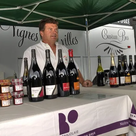 Feriepark Les Portes Du Beaujolais 4*